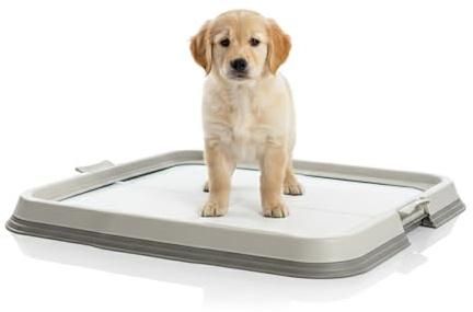 AqpetFriends Lettiera per Cani con Vassoio Porta Tappetini Assorbenti 60x60 cm, Base Antiscivolo per Traversine Igieniche, Ideale per Addestramento Cuccioli e Uso Domestico