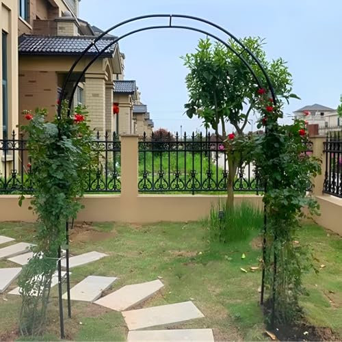 GUOGLZ Arco per Rose Rampicanti, Decorazione Giardino, Garden Pergolas Metallo Archetto Sostegno per Piante Rampicanti(250x220cm)
