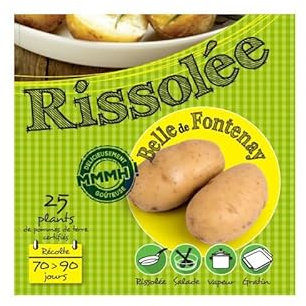 Belle de Fontenay 25 Plants de pomme de terre