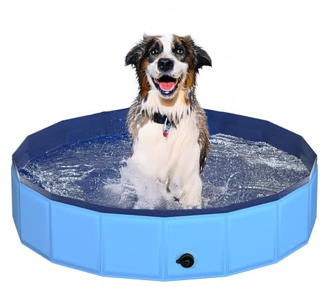 CACSPS 39.5 x 12 Foldable Dog Pool - Collapsible Hard Plastic Kiddie Pool for Dogs & Kids, Non-Slip Pet Bath Tub for Outdoor Backyard Use, Lightweight & Portable (Blue)
