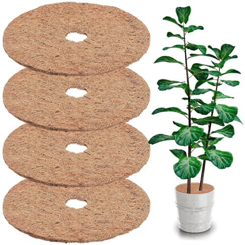 Fiwooze Kokosmatte Winterschutz, 4 Stück 30cm Kokosmatte Pflanzen, Kokosmatte, Winterschutz für Pflanzen, Kokosmatte Winterschutz Frostschutz Pflanzen