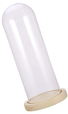 BESPORTBLE Glass Dome with Wooden Base Mini Cake Stand Glass Display Dome Cloche Clear Bell Jar Cover for Dessert Cheese Candy Plants Succulents- 9x9x25cm