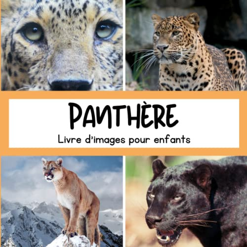 Livre d'images pour enfants - Panthère: Découvrir les Panthères en image - Enfants de 2 à 5 ans