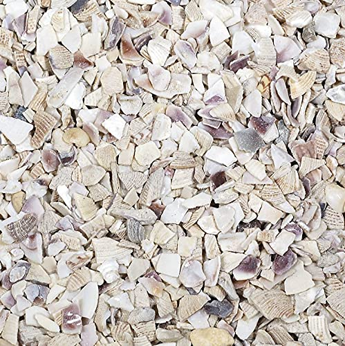 naninoa MUSCHELGRANULAT 2-5 mm. Muscheln gebrochen, Muschelsand, Muschel Bruch. 5 kg. Natur