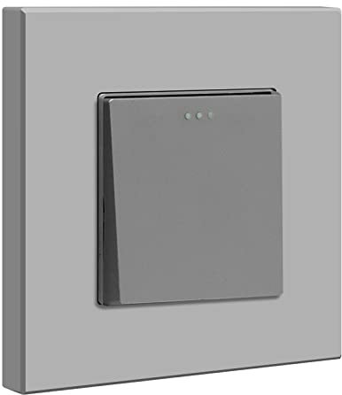 BSEED Interruptor de luz 1 Gang 1 Vía,Gris Interruptor Integrado con Panel de Plastico,10 Amp Cambio de Botón Rocker Interruptores,Moderno Interruptor de palanca 250V