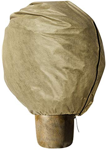 Windhager Winter-Vlieshaube Protect XL, Kälteschutz, Frostschutz für Pflanzen, Abdeckvlies, Winterschutzhaube, 1,1 x 1,1 m, beige