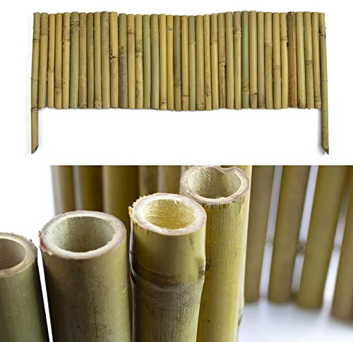 Floordirekt Bambus Beetumrandung - Flexible Beeteinfassung - Steckzaun - Rasenkante - Palisade - Abgrenzung für Blumen und Beete (30 x 100 cm)