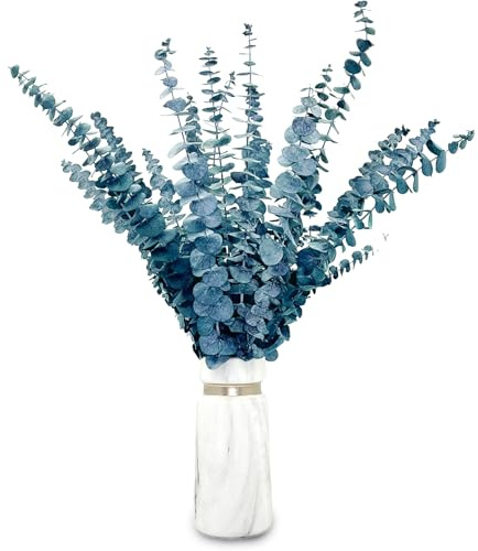 20 pcs Eucalipto Secado Naturales Flores Secas de 43cm, Planta de Eucalipto Azul Fresco Natural Hecha de Ramas de Hojas de eucalipto Reales para Decoración de Casas, Fiestas, Bodas