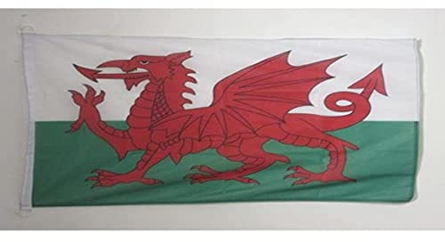 Pavillon nautique Pays de Galles 45x30cm - Drapeau de bateau gallois 30 x 45 cm - AZ FLAG