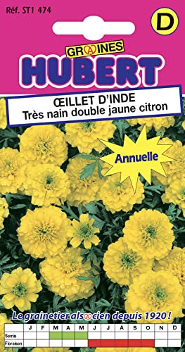 Graines d'Oeillet d'Inde Très Nain Double Jaune Citron - 1,5 grammes