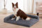 Sheepping Orthopädisches Hundebett für Grosse Hunde, Hundesofa mit Rand große Hunde Hundecouch Bettchen Waschbar 112x81x18cm