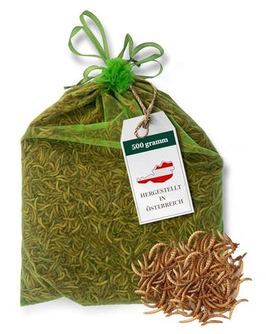 Amprosia Mehlwürmer lebend, Eiweißreiches Futter und Leckerbissen für Reptilien, Amphibien, insektenfressende Haustiere und Vogelfutter, Würmer Snack für Haustiere 500g, Lebende