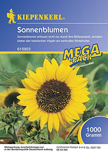Kiepenkerl 615953 Sonnenblume Peredovick 1 kg (Sonnenblumensamen)