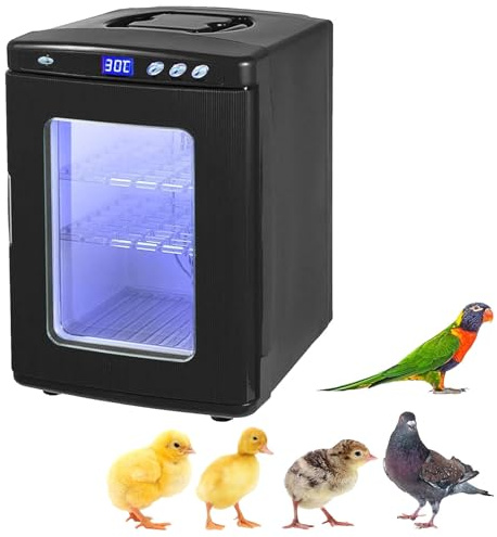 RayGenius Incubateur pour Reptiles, 25 L, ContrôLe De La TempéRature De 5 °C à 60 °C, éClairage LED NuméRique, Tension IntéGréE, pour Reptiles, CaméLéOns, LéZards, Tortues, Etc.