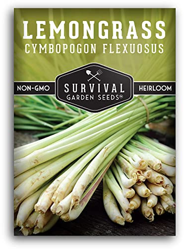 Lemongrass Seeds for Planting - Heirloom Asian Lemon Grass Seed - Fragrant Citrus Herb for Tea - Aromatic Garden Plant - Heirloom Non-GMO - Survival Garden Seeds (1 Pack)