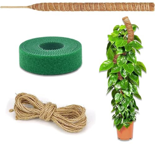 INGJIA Palo di Muschio Pieghevole per Piante, 60 cm Kit di Pali di Muschio Monstera per Piante rampicanti Paletti di Piante Sottili Fatti a Mano per Piante da Interno