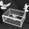 Jaula Trampa para Pollos y pájaros, Jaula Humana para Animales Vivos con Puerta de Entrada unidireccional, Trampa para Palomas con Control de Metal con diseño a Prueba de Escape, fácil Montaje (Size