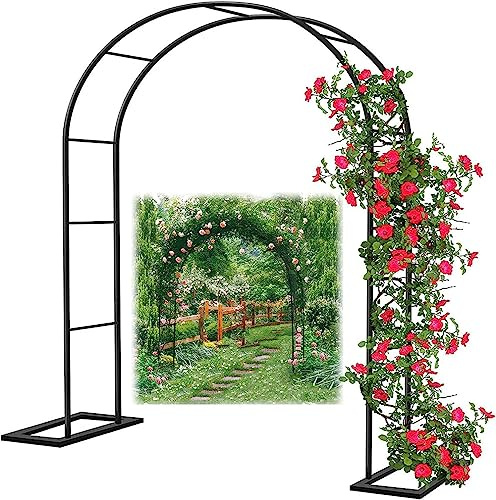 Väderbeständig trädgårdsberså i stål – metallspaljé för klätterväxter, fristående pergola, (1,2 m till 3,5 m bred), elegant vit design.