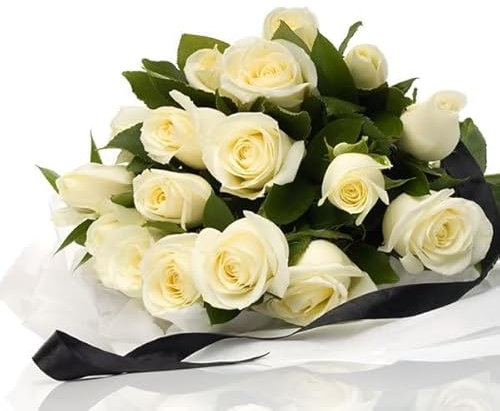 Ramo de ROSAS BLANCAS Naturales con 25 Flores en Tonos Vibrantes Rosas Blancas Frescas para Ocasiones Especiales