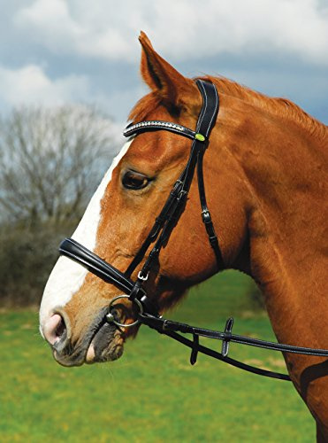 Rhinegold Cuir italien anatomique Cheval Bride avec muserolle Caveçon, noir