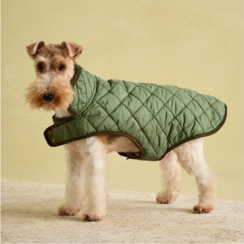 Rosewood x Joules - Abrigo Acolchado Caqui para Perros, Mediano, Lavable, Ligero, cálido, Chaqueta de Invierno para Perros medianos
