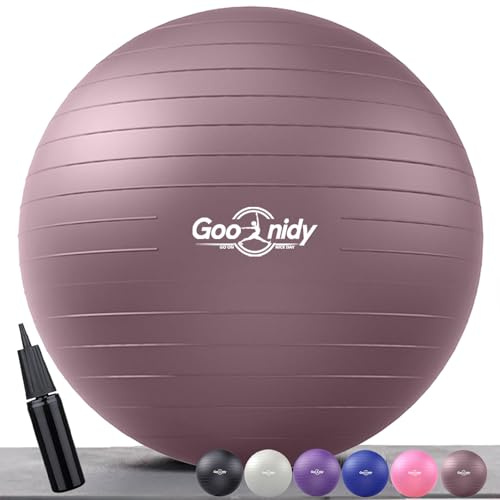 Goonidy Pelota De Pilates Grande Suave para Embarazadas 65 45 55 75 85 CM, Bola Yoga Anti-estallido con Bomba Soporta 2200lbs, Fitball Embarazo Ball Balon Pequeña