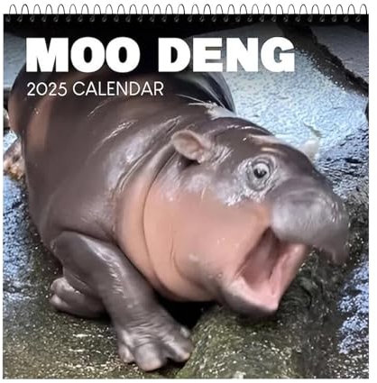 Flodhäst kalender 2025, kreativ kalender 2025, 12 månaders flodhäst väggkalender, hängbar månadskalender, djurkalender för barn, flodhäst temakalender, rolig kalender för tonåringar
