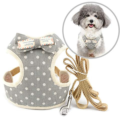 Zunea Harnais et Laisse Anti-Fuite pour Petit Chien Anti Traction Harnais Réglable à Pois avec Nœud Maille Souple rembourrée Harnais Veste pour Chiot Chat Gris M