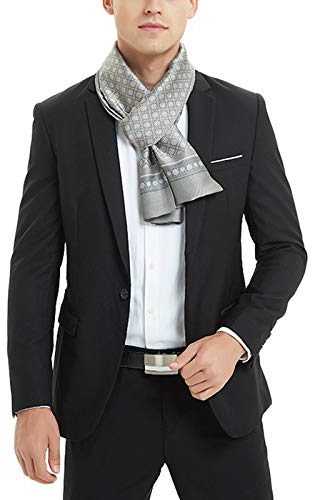 WANYING Seidenschal für Herren aus Kunstseiden Frühjahr Herbst Doppelseite Herrenschal Casual Business - Gepunktet Hellgrau
