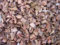 Kokoseinstreu grob 10 Liter (EUR 1,19/Liter), Kokoschips, Einstreu geeignet als Käfig Bodenbedeckung z.B. für Kaninchen, Meerschweinchen, Degus, Ratten und andere Nagetiere, Schlangen, Schildkröten