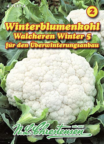N.L. Chrestensen 411374 Blumenkohl Walcheren Winter 5 (Blumenkohlsamen)
