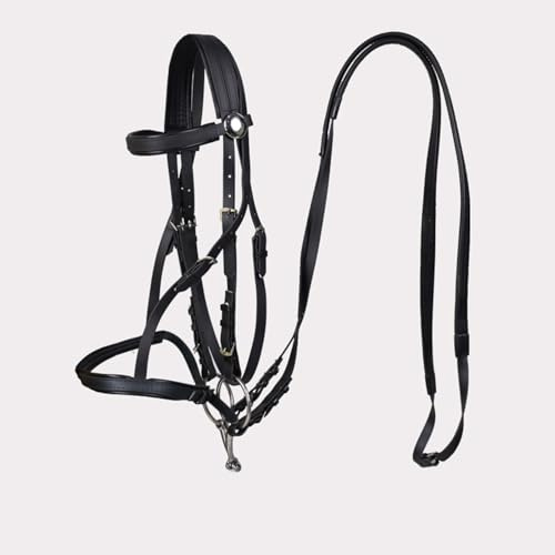 Cabezada Western Horse - Cabezada para caballos con acolchado - Cabezada Western duradera con filete(black)