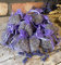 10 Aromatic Lavender Bags by 3drom Fresh Handmade Naturally Fragranced Moth Repellent