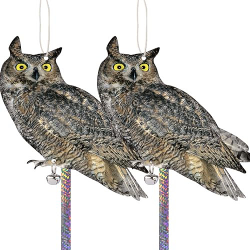 Kungfu Mall Effaroucheur Pigeons Anti Pigeon pour Balcon, Effaroucheur Oiseaux Repulsif Pigeon Exterieur, Epouvantail Oiseaux Jardin, Corbeau Anti-Pigeon Cerisier, 2 Pièces Hibou Photo Carton