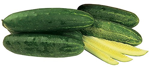 Burpee Hybrid II Slicing Cucumber Seeds 30 seeds