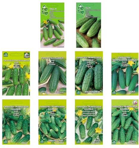 Nojus Gurken Samen Set – 10 Sorten – Verschiedene Gurkensamen Starter Kit - 10 Packen – Garten Samen Pflanzen Saatgut – Samen Gemüse Box 10 Sorten – Saatgut Box – Saat/Seeds