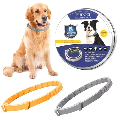 KOQAIIZ Chien Collier Anti Puces et Anti Tiques Haute Qualité, 2 Pièces Collier Antiparasite pour Chien, 8 Mois de Protection, 63cm Réglable, 100% Naturel - Imperméable déperlant