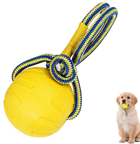 Générique Dog Jolly Ball – Élastique Robuste et Indestructible | Balle de Saut pour Chien, Jouet d'entraînement à mâcher pour Chiots, Soins dentaires, Vie Quotidienne