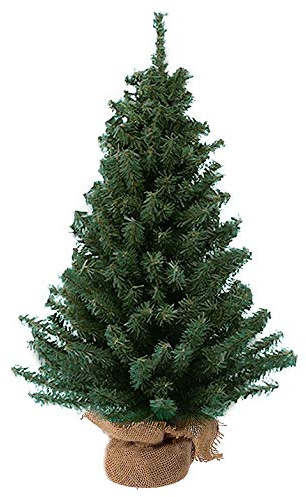 Kurt Adler TR2044 18 Mini Pine Tree
