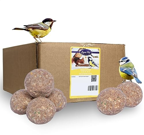 Lyra Pet® | 200 Gourmet Meisenknödel schalenfrei ohne Netz à 80 g | Energiespender für Wildvögel | Fetthaltiges Wildvogelfutter Ohne Schalen | Kraftspendendes Fettfutter | Vogelfutter Ganzjährig