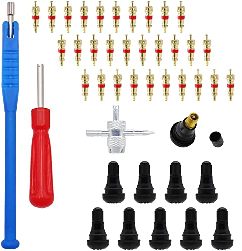 RUNCCI-YUN 43 Stück Reifenventilentferner Ventilwerkzeuge Set, Reifenreparatur Werkzeug 30x Ventilkern+ Einkopf Ventil Entferner +4 in1 Reparatur-Werkzeug 1xVentileinziehhebel 10xTR412