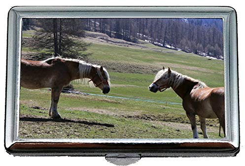 Visitenkartenetui, Zoo Cat Family Leopard-Visitenkartenetui