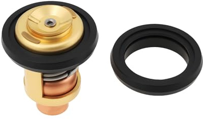 SG Store utombordsmotorer termostat med packning 5005440 kompatibel med Johnson kompatibel med Evinrude 5-235 HP, 8330720