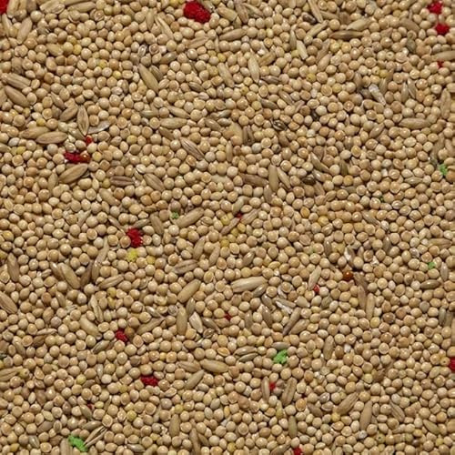 Il Contadino - Antichi Becchimi | MISCUGLIO per PAPPAGALLI e COCORITE | Formula Ricca di Semi Selezionati Adatta per Tutto L'Anno, No OGM, 100% Vegetale, Assenza di scarti. qualità Superiore (1 kg)