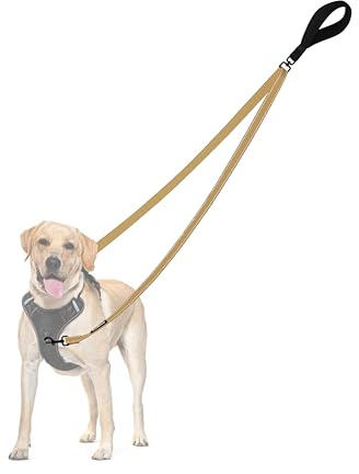 PetBonus Two Point Control Dog Leash, Works with No Pull Harnesses, No Tangle Training Leashes, Soft Padded and Reflective Walking Lead, Converts to Single Lead for Medium Large Dogs (Khaki)