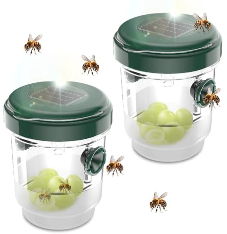 mizikuu Trampa para Avispas, 2 Piezas Repelente de Avispas Exterior Trampa Natural Viva Protector de Avispas para Colgar Antiavispas para Casa, Jardin, Camping, Barbacoa, Verde