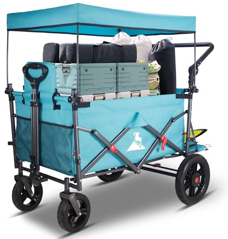 TOPWELL Carro plegable con techo, carrito de mano multifuncional con frenos, asientos, cinturones de seguridad, ruedas delanteras 360°, capacidad de carga 120 kg (azul cielo)