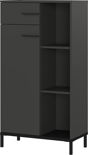 Germania Armoire à dossiers 2235-547 GW-Rovigo, en Graphite, la Porte ne Ferme Que 2/3 de l'armoire, 64 x 120 x 34 cm (LxHxP)