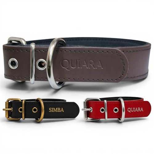 Collar para Perro de Cuero con Acolchado - Personalizable con Nombre Grabado - Hecho a Mano, Resistente y Elegante - Llavero Personalizado de Regalo (Marrón, M/L: Rango de Cuello 37–47 cm)
