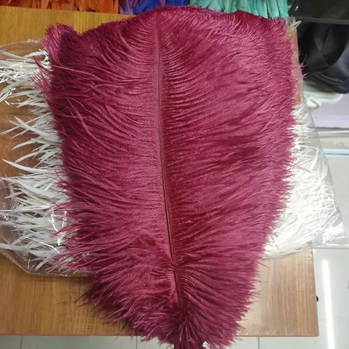 100 Stück/Los, 25,4–30,5 cm, flauschig weiche Straußenfedern, burgunderrote Federn für Bastelarbeiten, Straußenfedern, Hochzeit, Party-Dekoration, 25–30-Standard